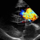 온새동물의료센터 이미지