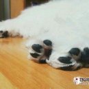 부연 농장 이미지