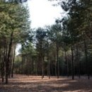 담터오지캠핑장 이미지