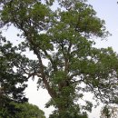 인흥마을 이미지