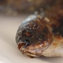사천읍시장 네이버블로그