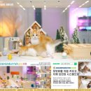 달래캐터리 | 강서구고양이분양 경험으로 우리 가족이 달라졌어요