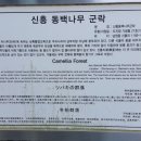 신흥2리 복지타운 이미지