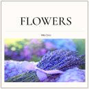 DREAM NAILS(드림 네일즈) | 마일리사이러스 flowers 가사 해석 뜻 곡정보 발음