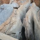 반석농장(2) 이미지