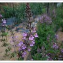 산서한의원 이미지