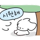 크린파트너 이미지