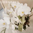 김희옥피부과의원 이미지