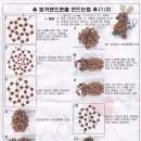 당근든토끼