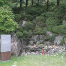 단종 어수정 이미지