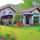 나의 정원 이미지