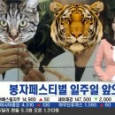 티비앤주