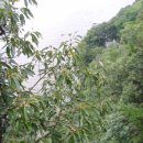 삼천궁녀 - 포항시 북구 칠성천길 19 | 삼천궁녀