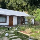 달뿌리집 이미지