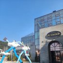 드 어반 관광호텔 | 담양숙박 노래방 수영장 호캉스추천 호텔드몽드 숙소후기