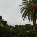 일출랜드식물원 이미지