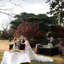 까사보니따 스튜디오 이미지