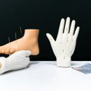 대나무한의원 이미지