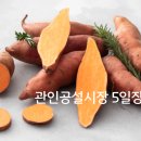 관인 5일장 이미지