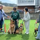 책(그림책)놀이지도사 자격대비 이미지