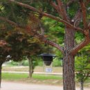 CU양구터미널점 이미지