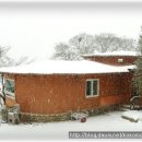 강쥐세상 이미지