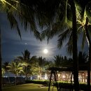 아남오피스텔 개방화장실 | 나트랑 더아남 리조트 가격 조식 수영장 레스토랑 디럭스 트윈룸 엑스트라베드 후기