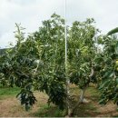 이형탁농장 이미지