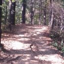 오봉산 맨발 등산로 이미지