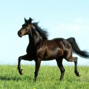 달리는공인중개사사무소 이미지