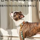 비커밍스튜디오 이미지