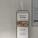 영프라자 | 롯데백화점 창원점 팝업스토어 춘천감자빵 내돈내산 후기+ 춘천 카페 감자밭