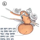 뉴월드동물병원 이미지
