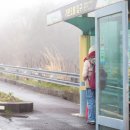 제주세계자연유산센터 세계유산전시관 | 제주시 조천읍 선흘리..."제주 세계 자연유산센터"