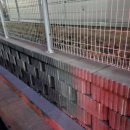 위더스행정사사무소 이미지