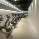 스카이 피티 이미지