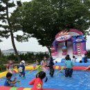 초락초교 이미지