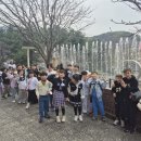 마스터케이 태권도 이미지