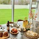 로이스애견풀빌라 이미지