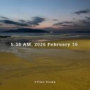 롯데마트 앞 | 나트랑 5성급 가성비 숙소 앤티크한 썬라이즈 호텔 오션뷰 롯데마트 접근성 후기