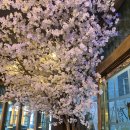 달빛경성술집 | [민락동술집] 달빛경성술집 민락점 후기 _ 의정부데이트, 분위기 좋은 의정부이자카야 추천