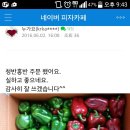 강기성농장 Daum카페