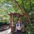 배암들 | 산행후기_mr.j 38 지리산 뱀사골 ↔ 화개재 ↔ 삼도봉 2