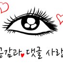 클라라아이래쉬