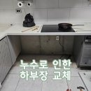 한일파크여관 | 누수로 인한 하부장 교체 (전주집수리후기)
