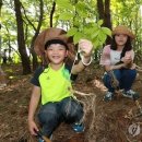 함양산삼사랑 | 함양 산삼축제, 100년 산삼의 기운을 만나는 건강 축제