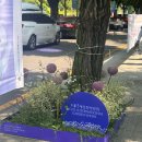 &lt;서울국제정원박람회&gt; 꽃보다 사람이 더많았던 후기_메타몽가든은 포기...
