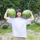 지민농장 이미지