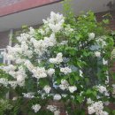 둘레목장 이미지