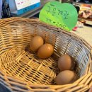 유천스파 이미지